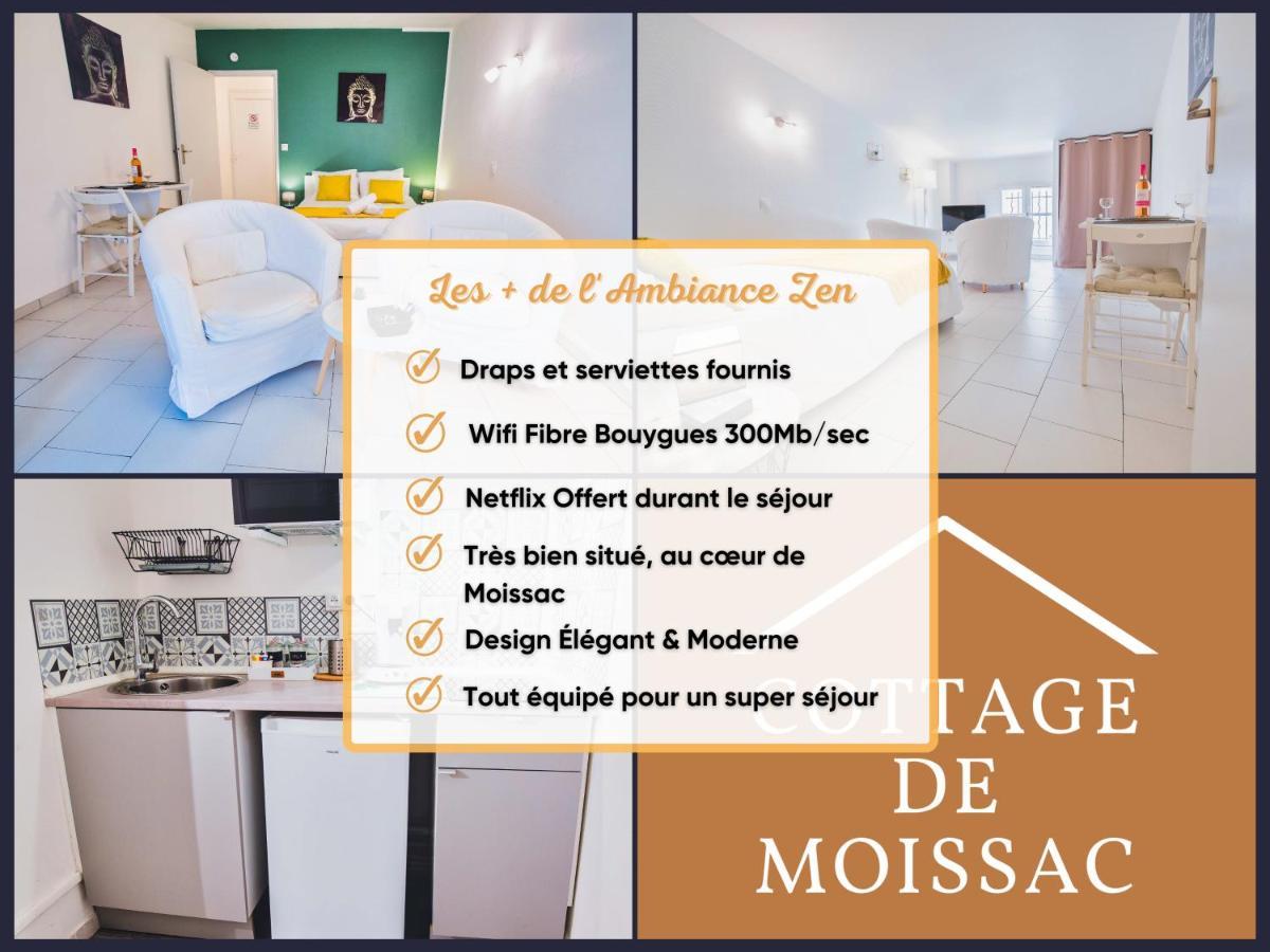 Apt T1 Cosy Et Ambiance Zen "Cottage De Moissac" Eksteriør billede
